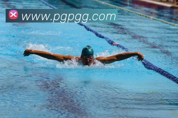 nba投注网站发展历程